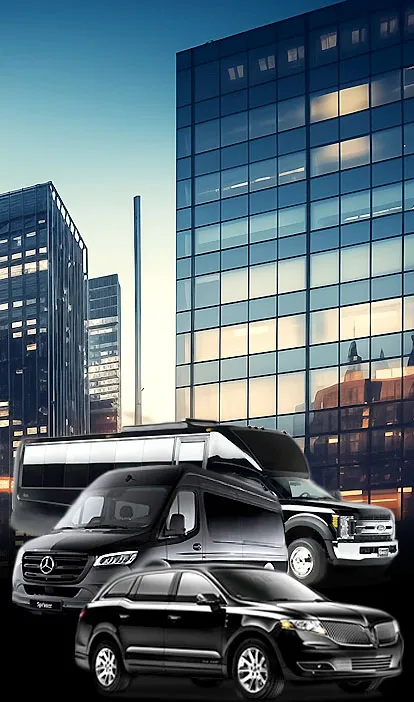 sf bay area chauffeured transportation